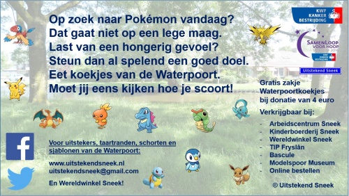 Pokemon Go Pokemon Go