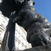Uitsteker bij beeld beer die snoept van fruitboomop het Plaza del Sol in Madrid door Marianne de Zwart